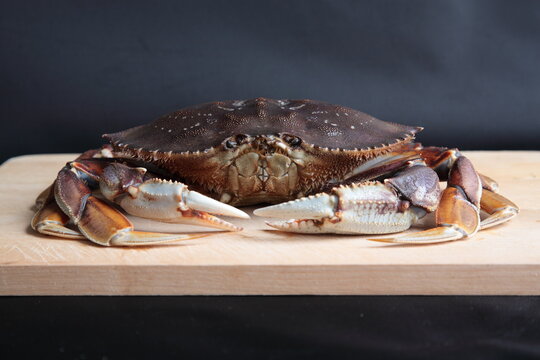 View of a Dungeness crab on wooden chopping board in Vancouver, BC, Canada