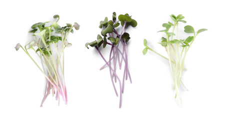 Set of different fresh microgreens on white background, top view. Banner design