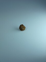 Fruto petrificado con semillas sobre fondo blanco © CarmenCelia