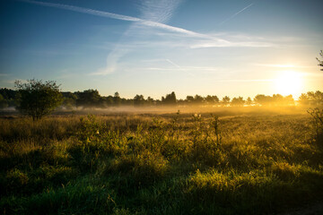 Obraz premium Sundown on a sunny morning on heather