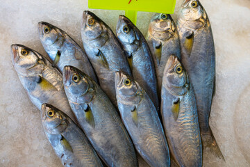 Fresh fish on ice. Sale at farmers market, fresh fish in supermarket. Open showcases of the seafood market.
