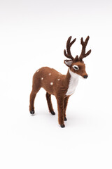 Brown deer on white background