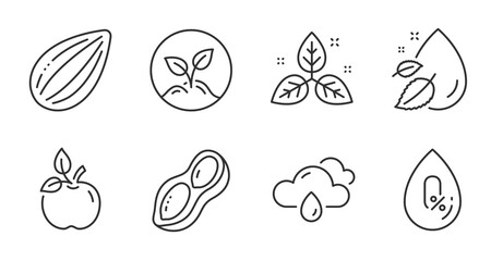 Almond nut, Peanut and Fair trade line icons set. Rainy weather, No alcohol and Startup signs. Eco food, Water drop symbols. Vegetarian food, Vegetarian nut, Leaf. Nature set. Vector