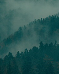 Switzerland sad morning fog