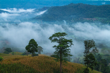 misty morning in the mountains