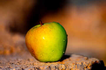 apple on a wooden table