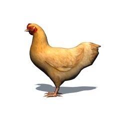 Farm animals - brown chicken with shadow on the floor - isolated on white background - 3D illustration