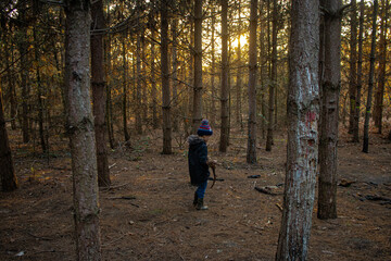 Obraz premium Boy exploring in the pine forest