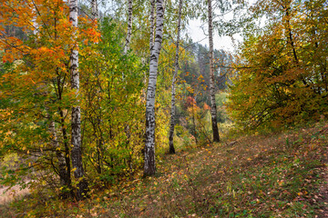 The Zhiguli Nature Reserve in the Middle volga region, Samara, Russia.