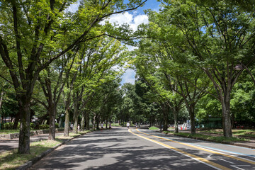 駒沢公園（東京都世田谷区）