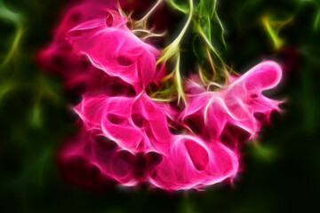 Fractal image of a garden branch with delicate roses