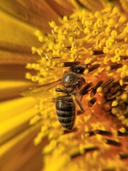 Single photo enhanced with easyHDR 3.14.1: DSCN7396.JPG