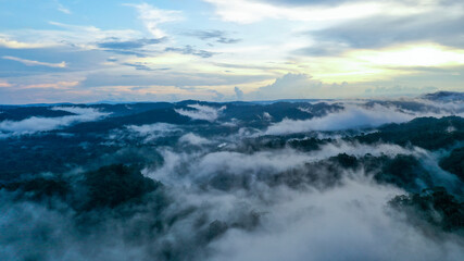 Aerial view of a tropical forest in the Amazon of Ecudor during sunrise