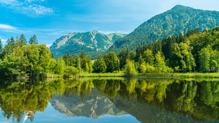 Germany, Allgaeu, Impressive nebelhorn alps mountains and forest reflecting in silent water of moorweiher lake in oberstdorf