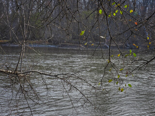 Late autumn on the river: River water swirls past in the landscape view framed by tree branches with just a few fall colored leaves remaining