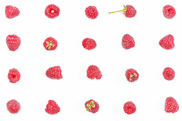 Raspberry berries laid out in lines on a white background in various poses