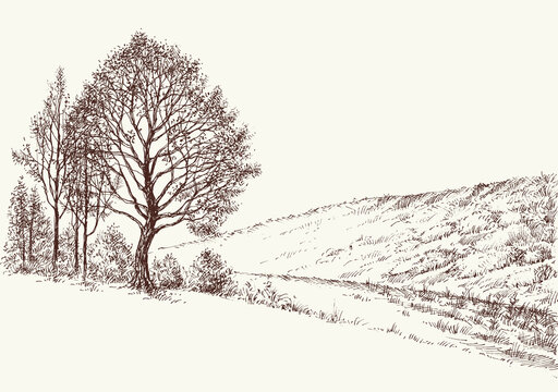 Trees on hills hand drawn landscape, beautiful nature image