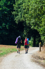 Fototapeta premium Due Pellegrini in cammino lungo la Via Francigena in Toscana