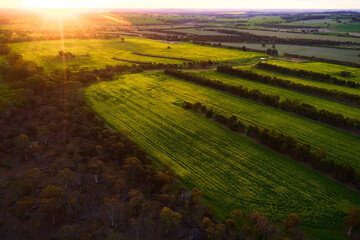 Sun setting on cropped fields and trees on a farm