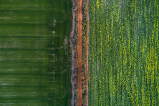 Gravel road between two cropped paddocks on a farm.