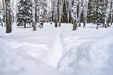 Winter landscape in Siberia, a deep trail in fresh snow on a snow-covered alley in a city park.