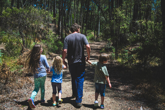 Family exploring a bush trail