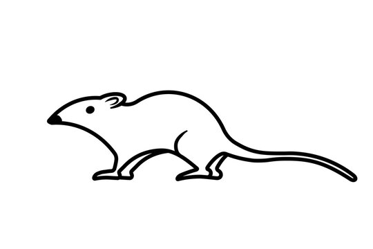 Mouse outline icon. Clipart image isolated on white background.