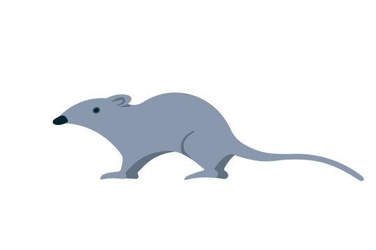 Mouse simple icon. Clipart image isolated on white background.