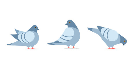 Three Pigeon cartoon icon. Clipart image isolated on white background.