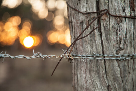 Barbed wire around a strainer post with bokeh sunset behind