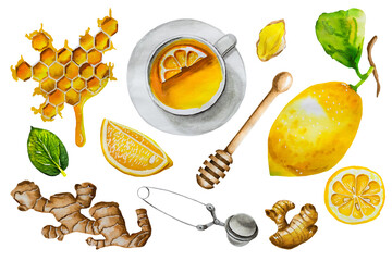 Watercolor Set of organic herbal tea. Lemon mint tea with ginger and honey. Isolated on white