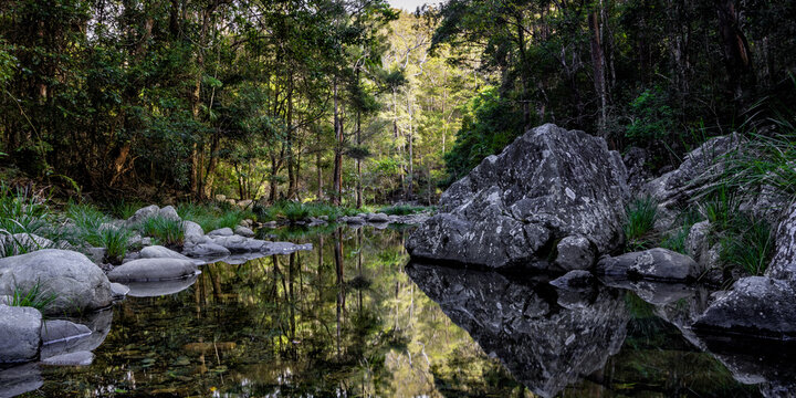 Serene reflections