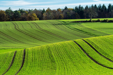 Feld im herbstlichen Kraichgau © Donnerbold