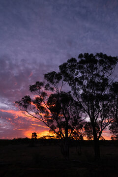 Sunset in outback Australia