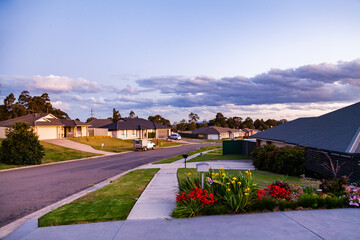 Plants in garden beside driveway and town street at dusk