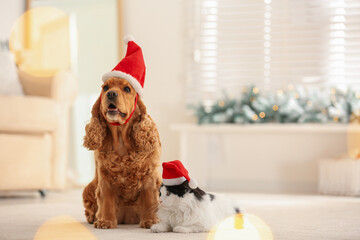 Adorable Cocker Spaniel dog and cat in Santa hats indoors