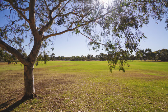 Suburban parkland in Melbourne urban area of Elwood
