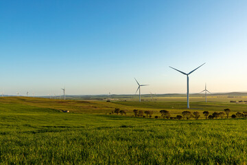 wind turbines in farm land in afternoon light