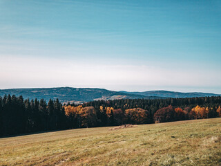 Obraz premium view of an autumn landscape in the south bohemia mountains with colorful trees and clear blue sky during autumn