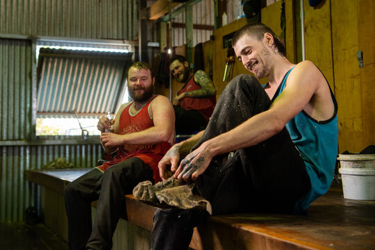 Shearers relax after a day's work