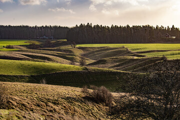 Gentle rolling hills in a rural landscape. Sunrise is illuminating the scene with shade and contrast