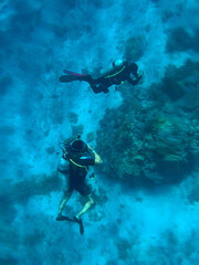 Naklejka na ściany i meble Scuba divers in the blue water. Sharm El Sheikh, Egypt 