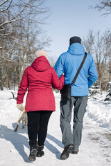 Back view of a couple walking in the snowy winter park with their dog. A man and a woman enjoy a frosty cold winter day walking with their labrador retriever. Friendship, love and together concept.