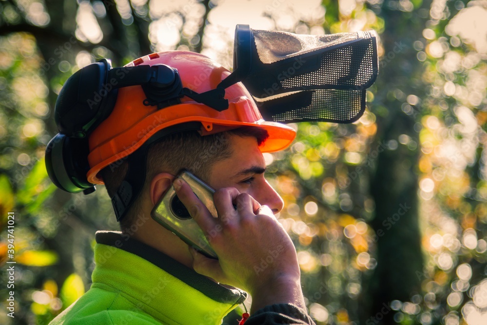 Poster Professional lumberjack in protective workwear using mobile phone