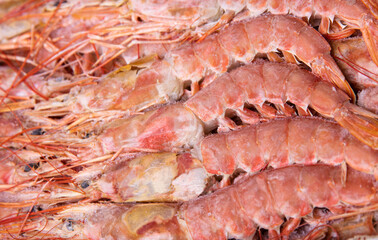 Fresh frozen langoustines Argentine frozen close up as background