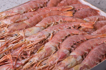 Argentine langoustines frozen in a box as a background