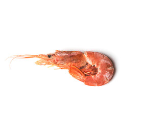 Fresh, red, frozen langoustine shrimp, close-up isolated on a white background, seafood