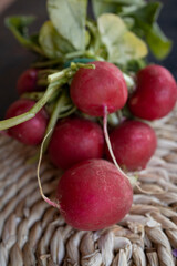 Bunch of organic red radishes with green leaves. 