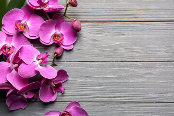 Beautiful orchid flowers on wooden background