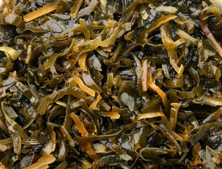 Seaweed salad close-up, kelp background. The view from top